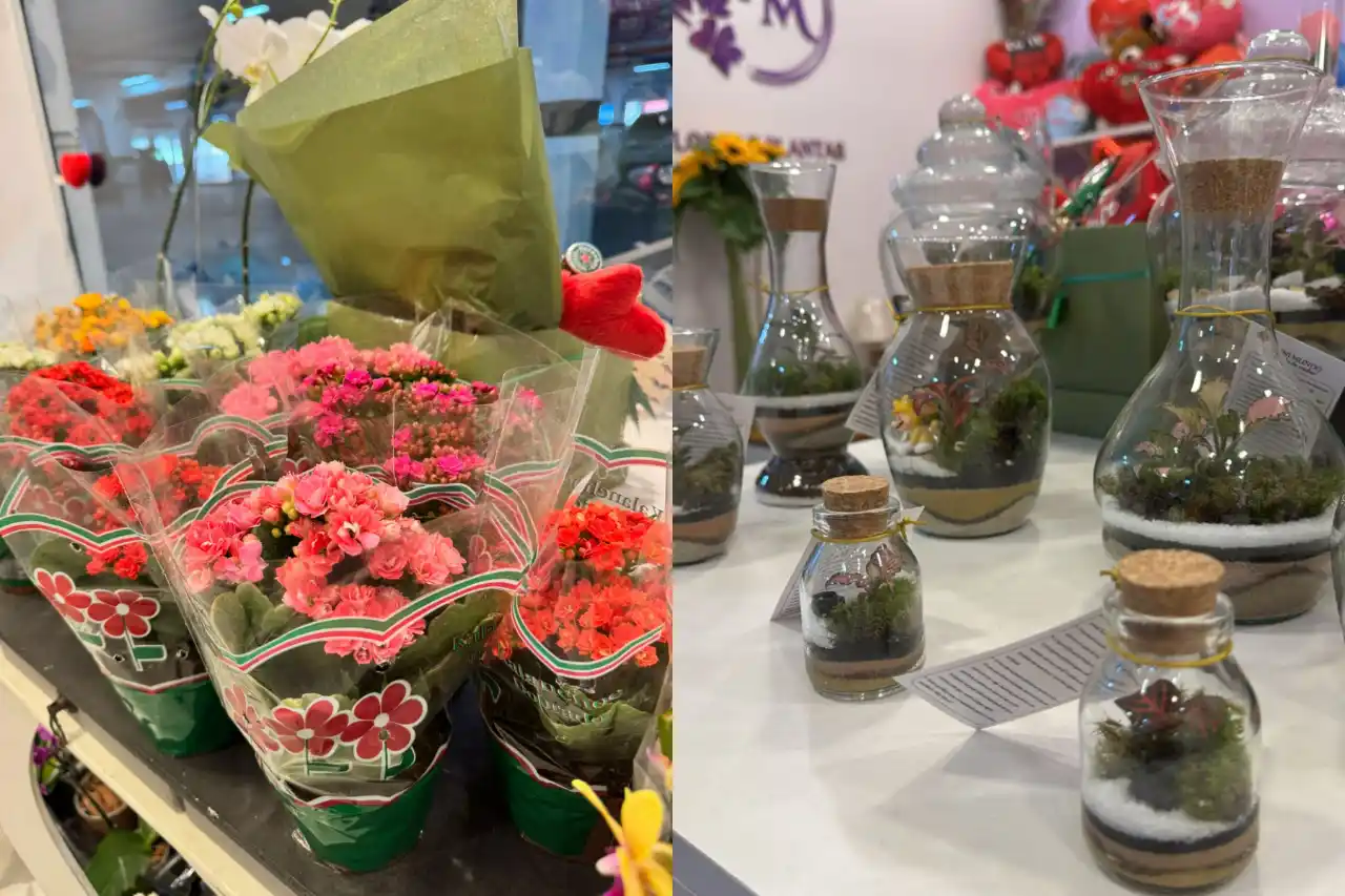 feira de plantas e flores em vargem grande paulista