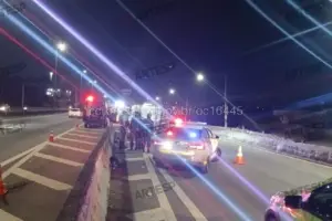 pedestre atropelamento raposo