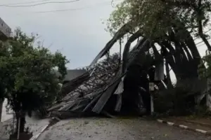 telhado de gapão em osasco