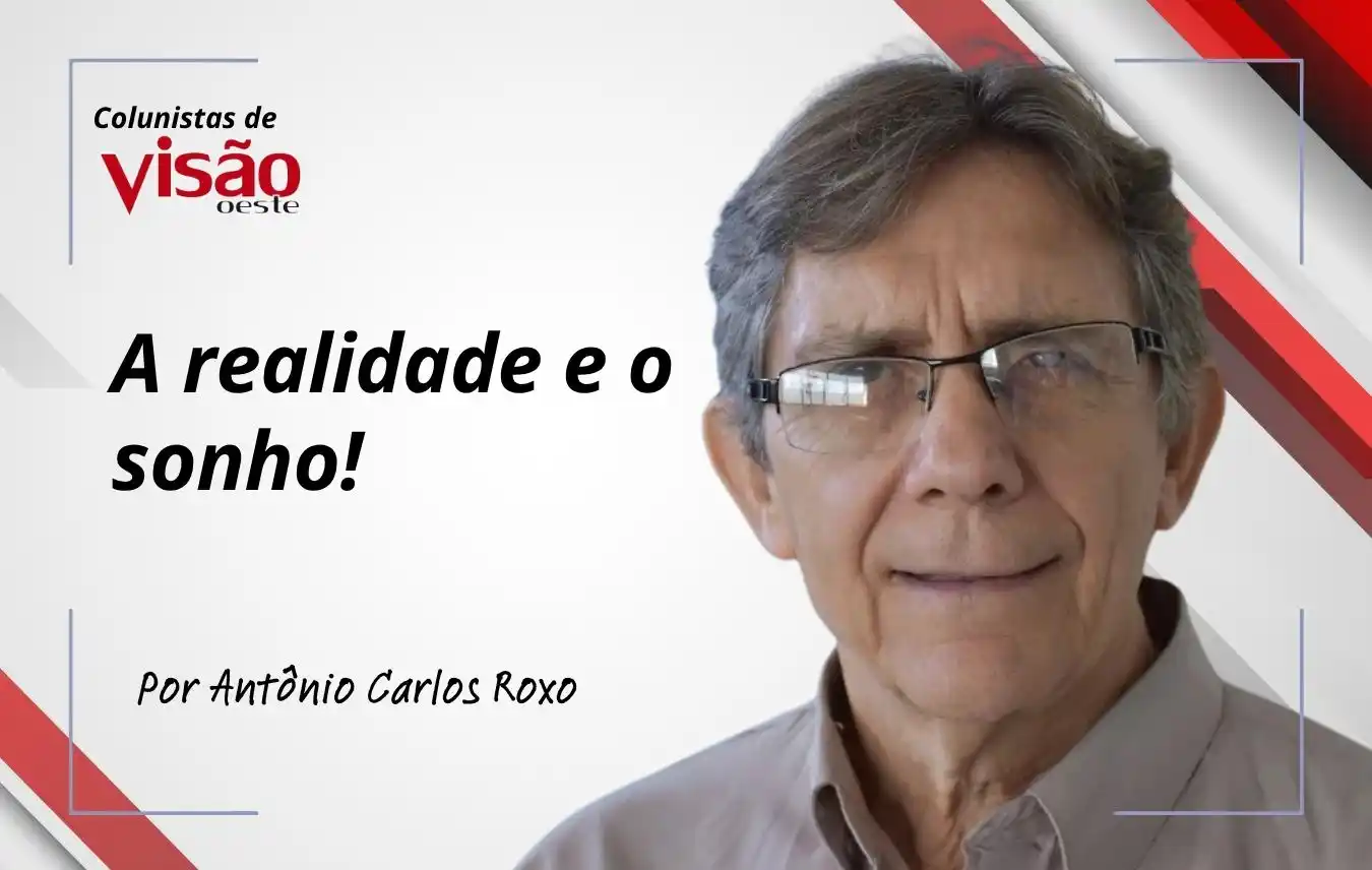 colunistas visão roxo a realidade e o sonho