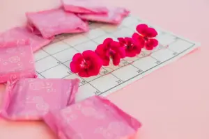 licenca menstrual