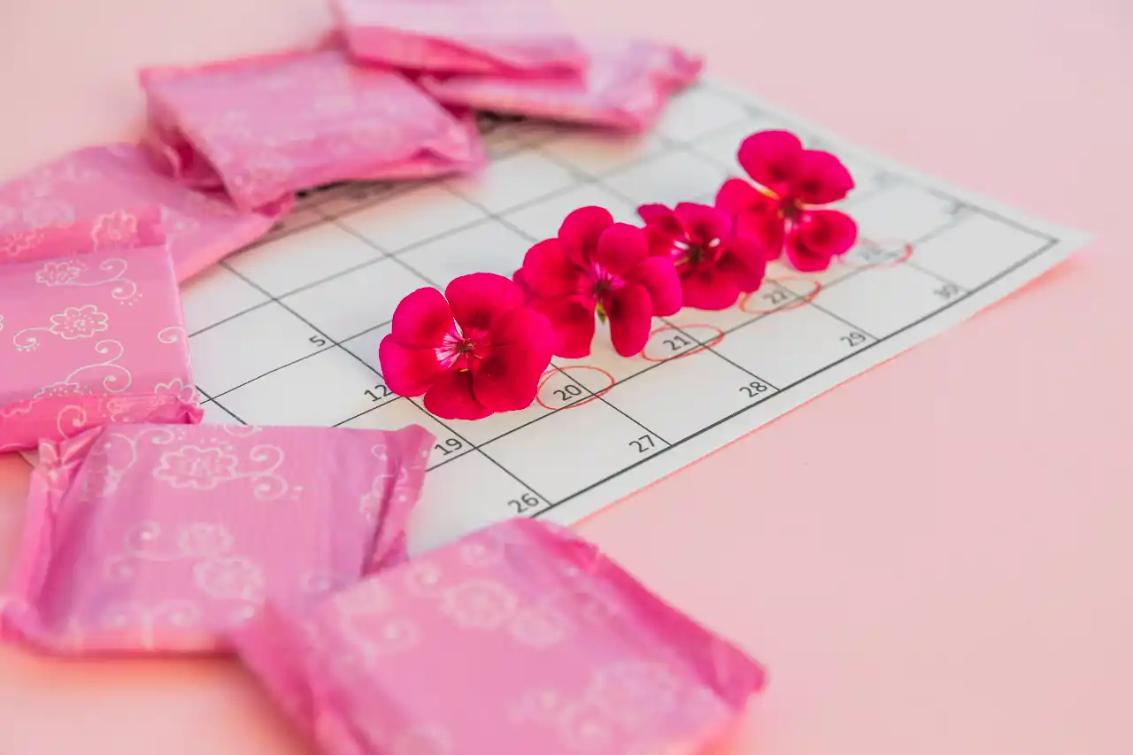 licenca menstrual