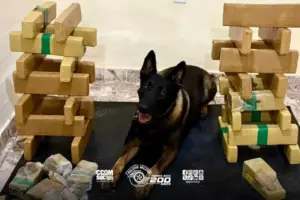 rolo apreensão drogas jaguaré