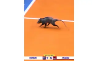 saruê