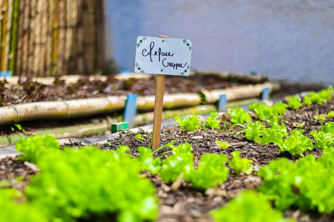 21 horta urbana osasco