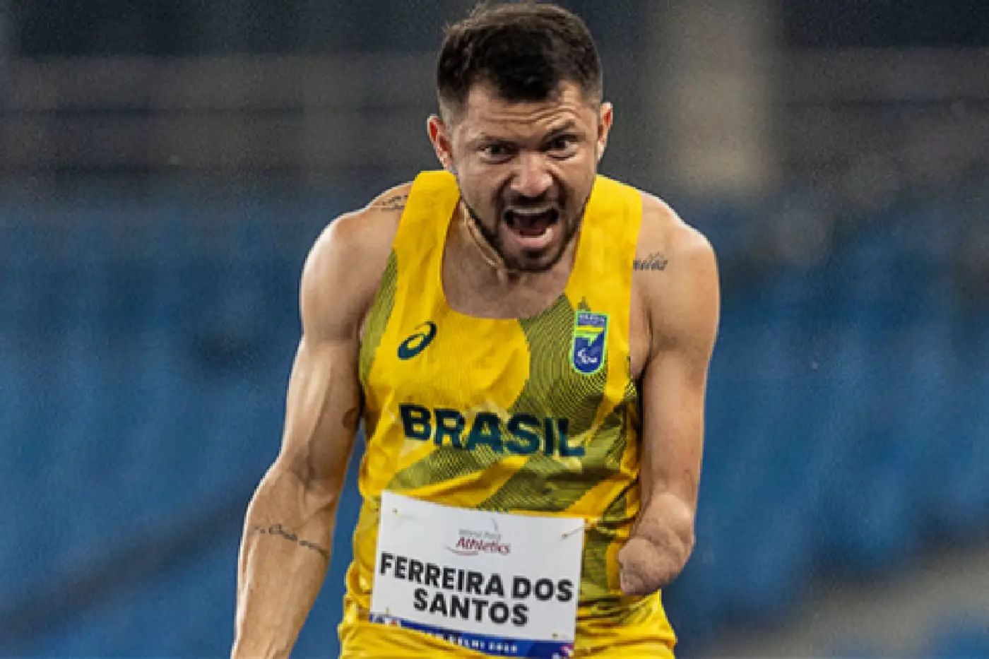 circuito sesc petrúcio ferreira