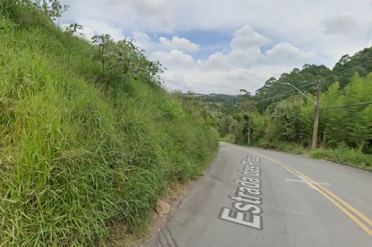 fuga para a mata em cotia