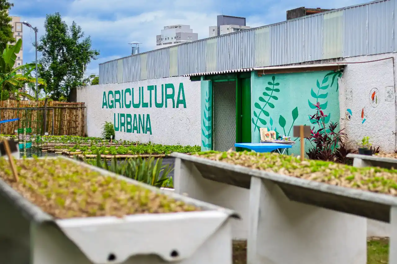 horta urbana osasco