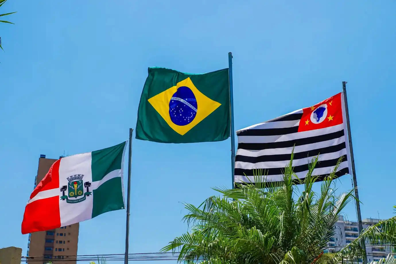 osasco na cop30