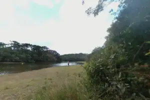 reserva florestal morro grande cotia