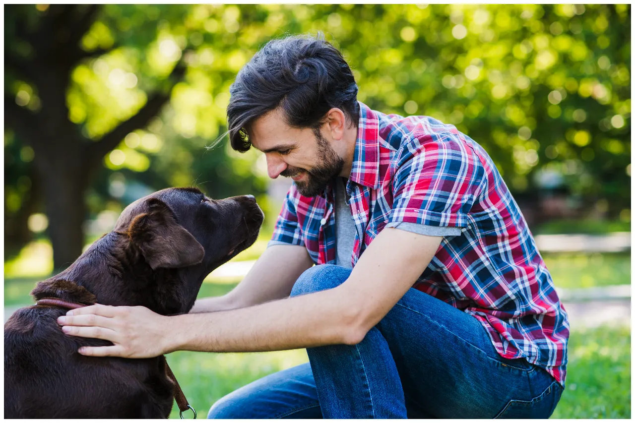 vínculo entre tutores e cães