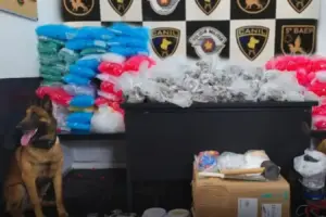 caes do baep encontram drogas em embu das artes