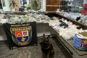 deposito de drogas embu das artes