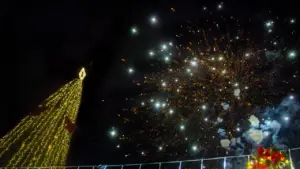 natal cotia