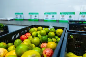 osasco segurança alimentar