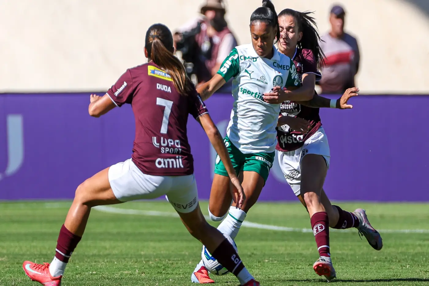 palmeiras ferroviária