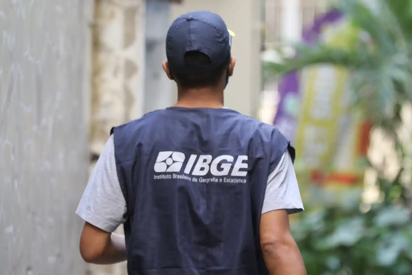 processo seletivo ibge