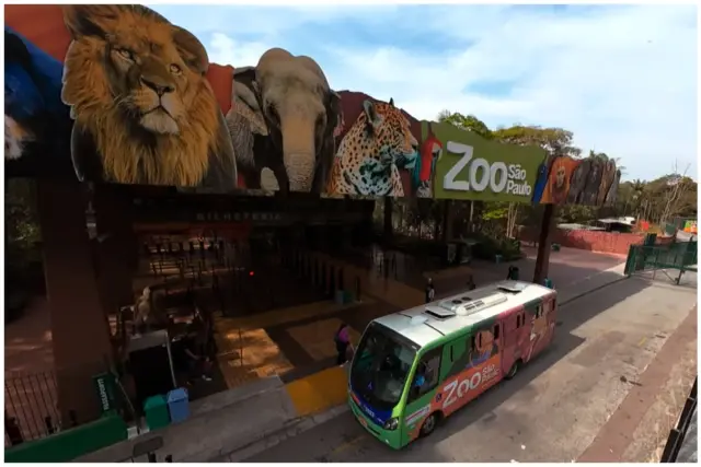 Zoo São Paulo, Jardim Botânico e Simba Safari movimentam férias com ...
