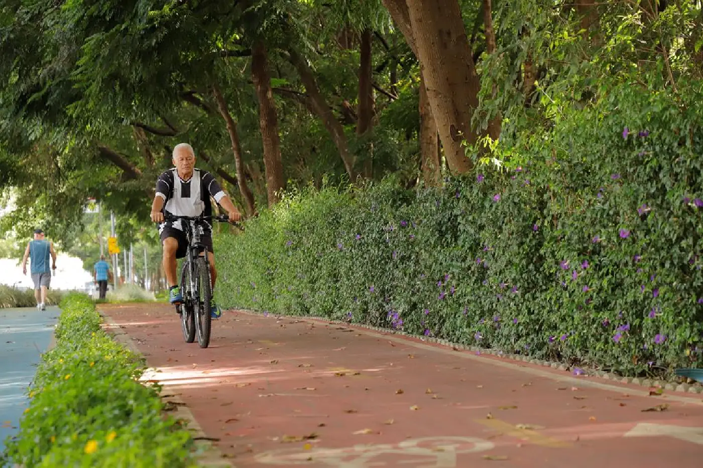 ciclofaixa barueri