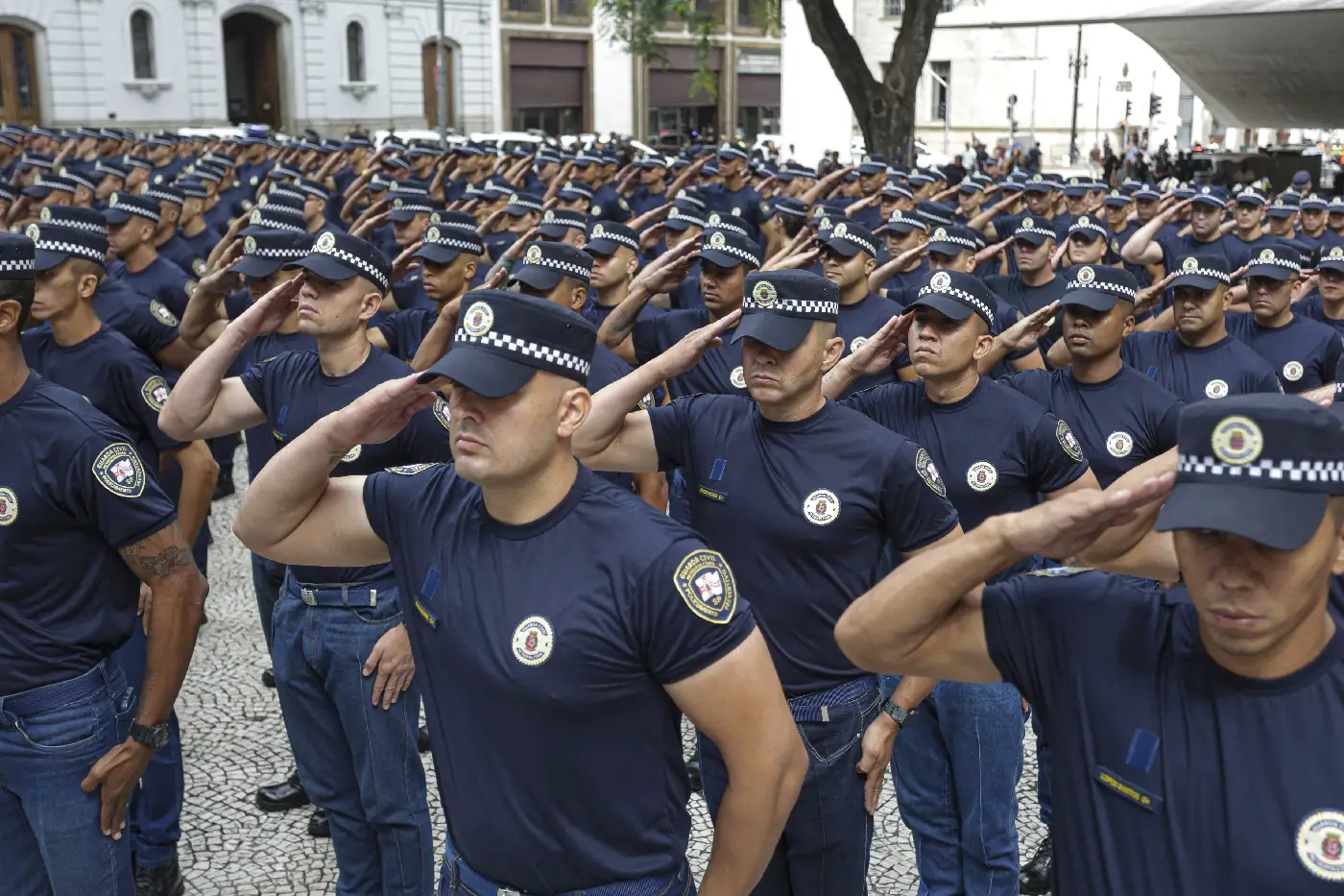 gcm são paulo