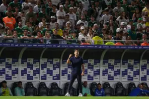 palmeiras (1)