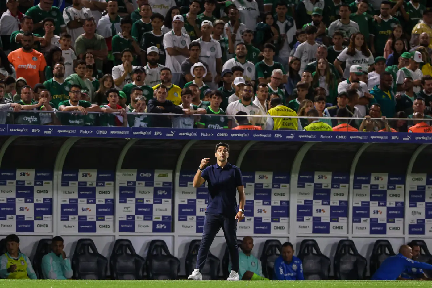 palmeiras (1)