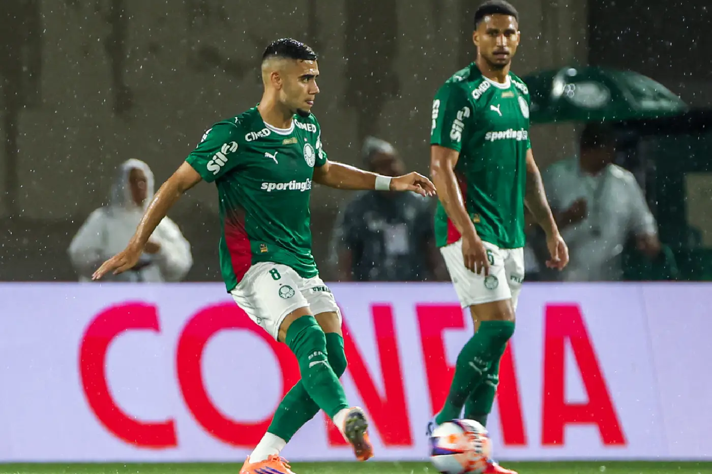 palmeiras (1)
