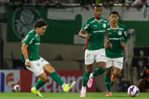 palmeiras