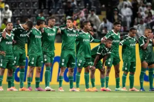 palmeiras copinha