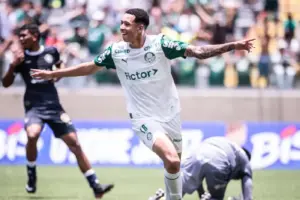 palmeiras x remo