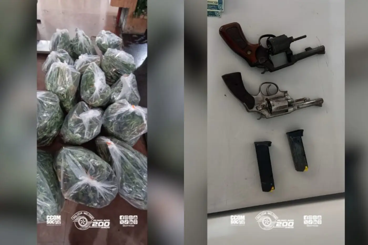 apreensão maconha itapevi