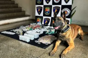 drogas thor carapicuíba