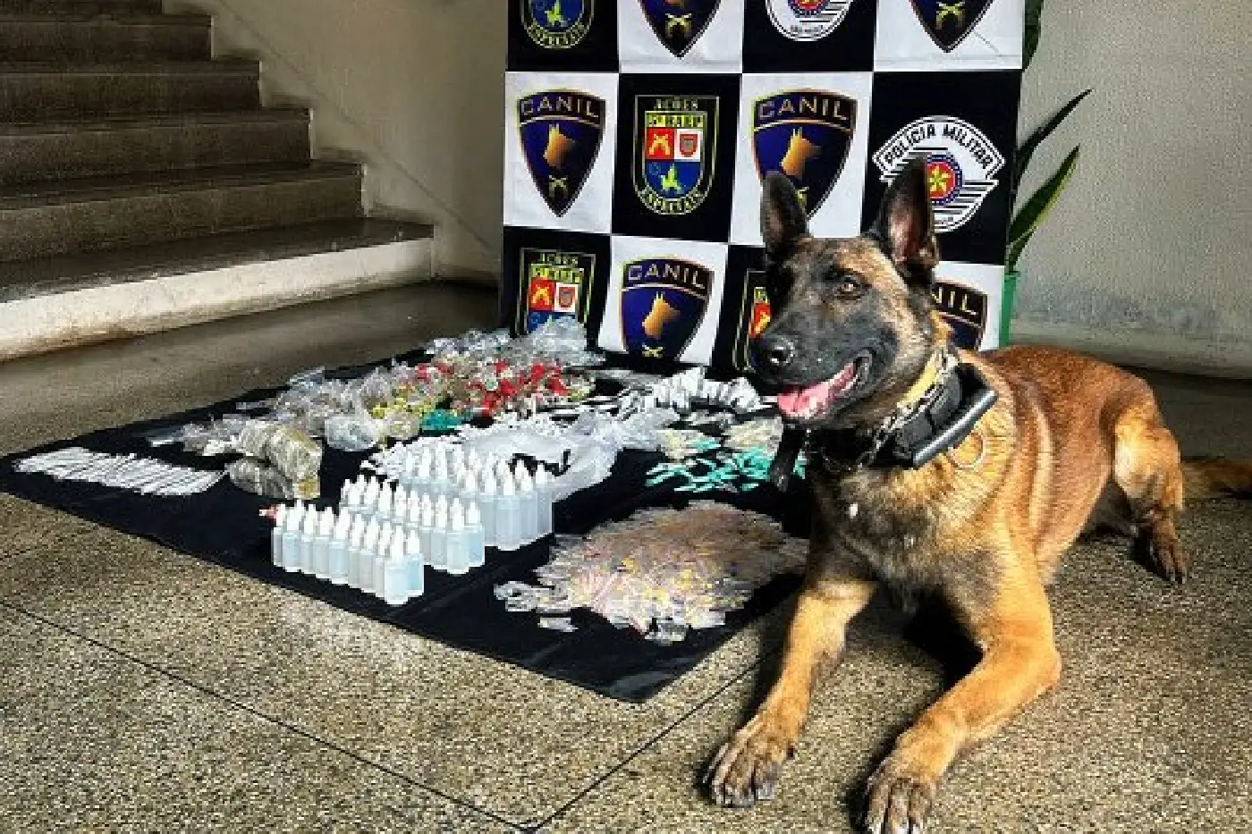 drogas thor carapicuíba