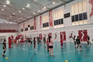 nucleos de volei e basquete osasco