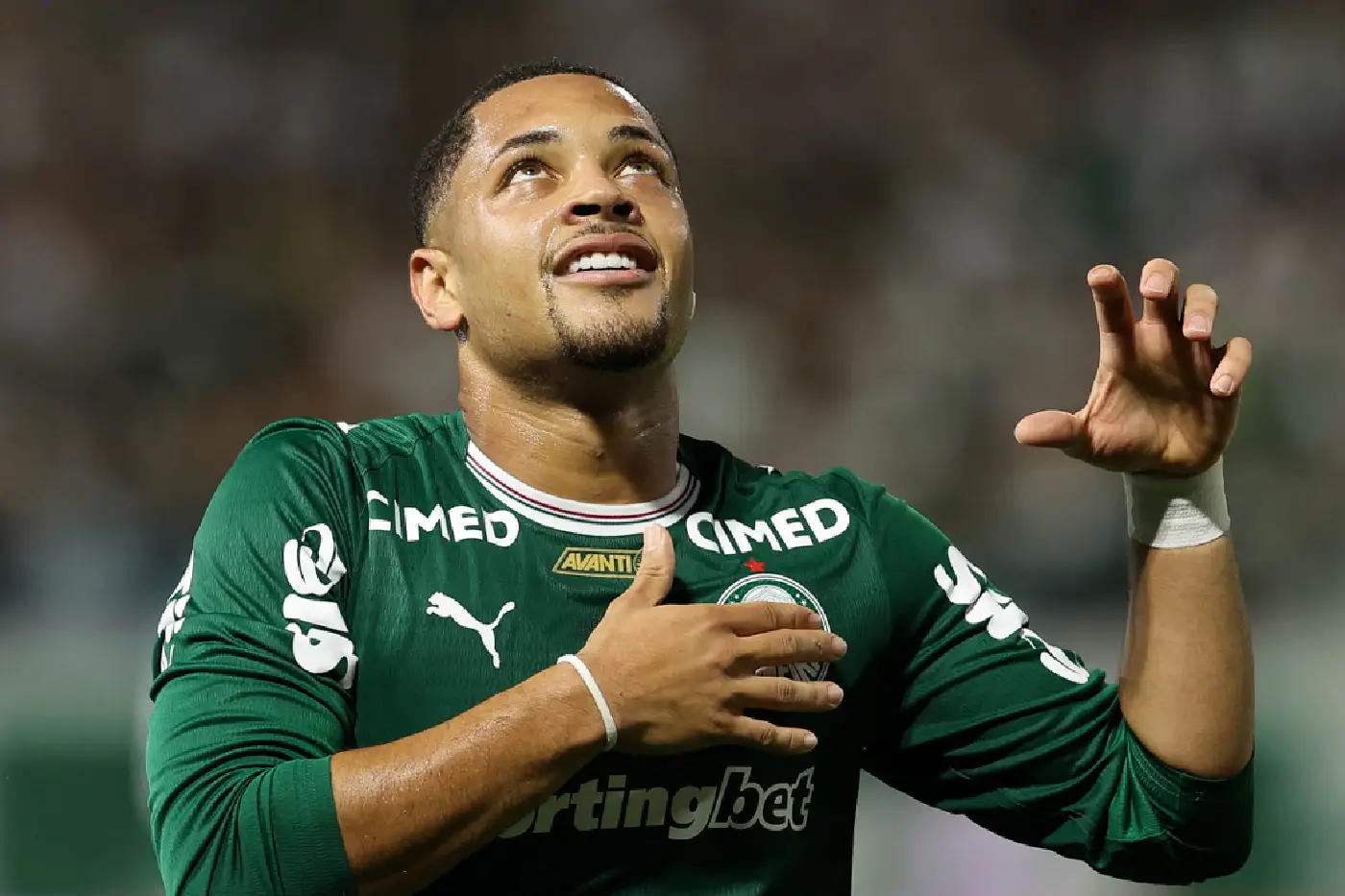 palmeiras capivariano