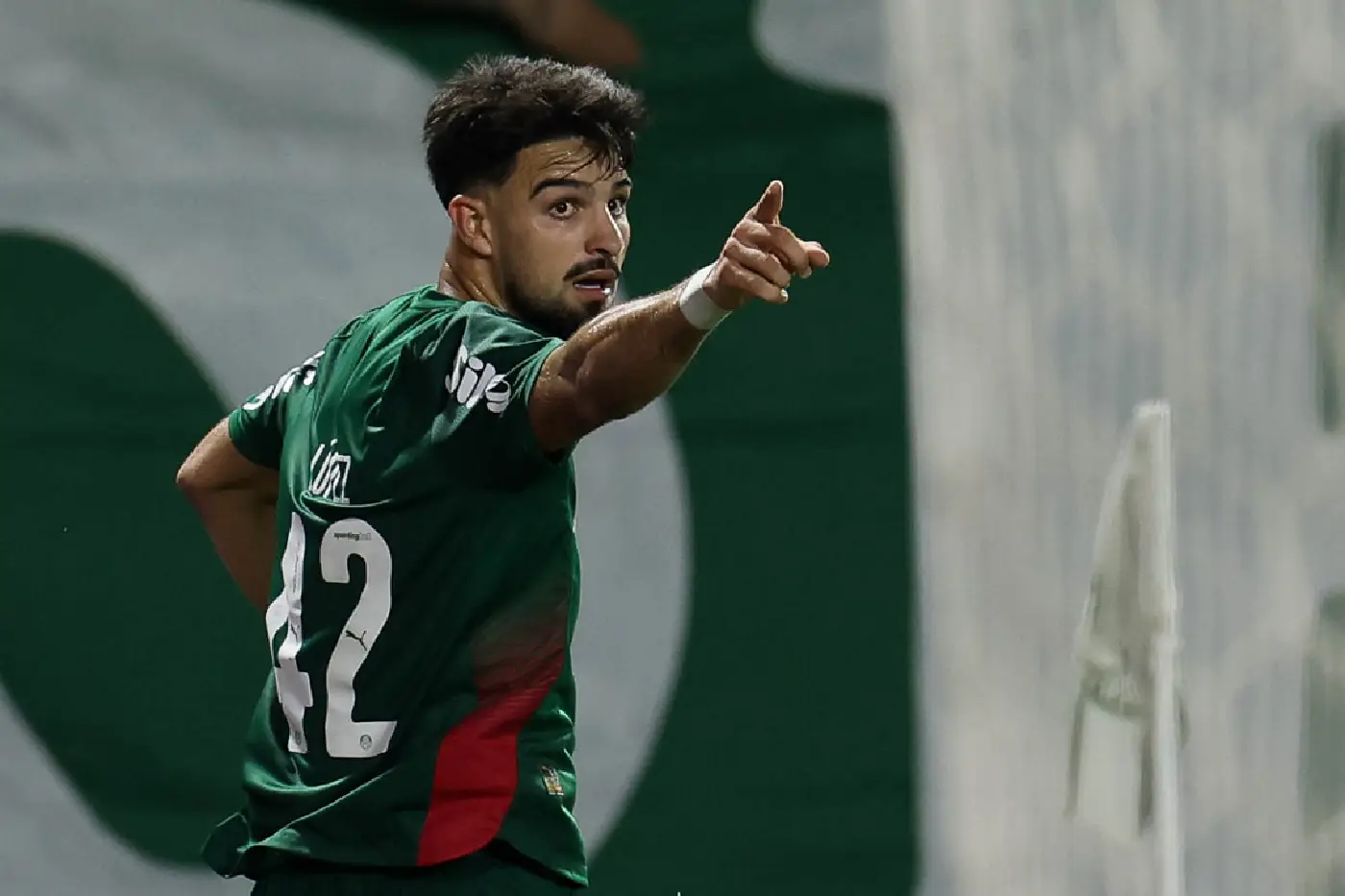 palmeiras guarani (1)