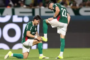 palmeiras guarani