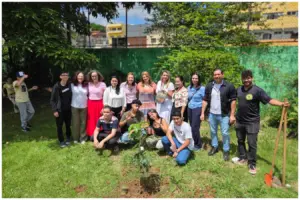 projeto pau brasil em caucaia do alto em cotia