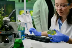 concurso publico pesquisador cientifico
