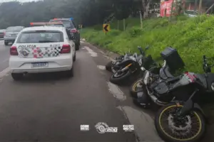 ocorrência raposo cotia