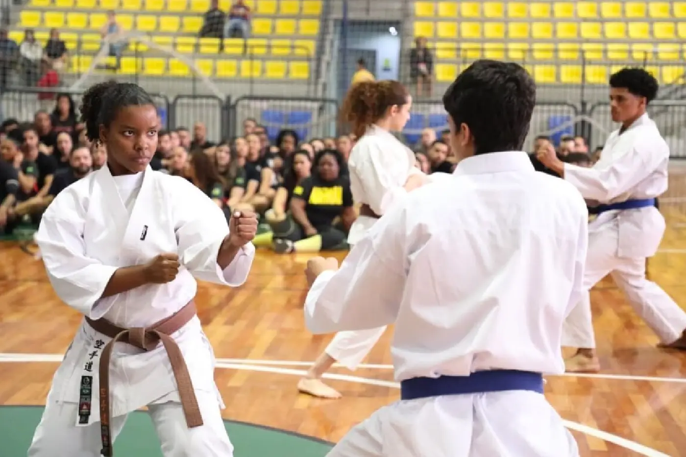 artes marciais barueri