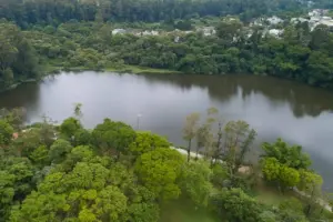barueri area verde zero desmatamento1