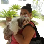castração barureri