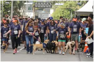 circuito pet run 2026 no shopping eldorado