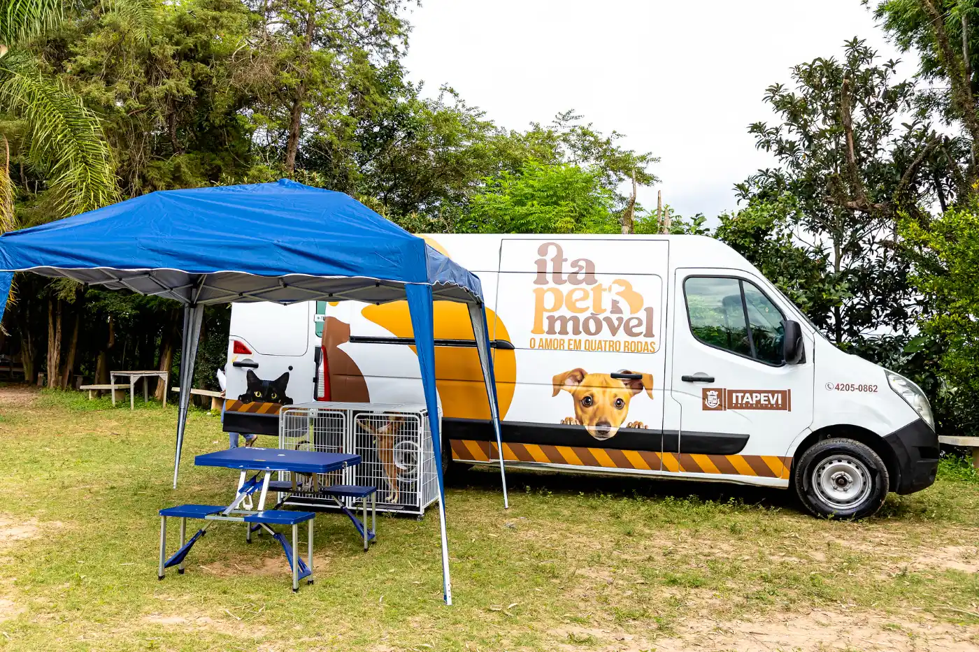 itapetmovel itapevi resgate de animais