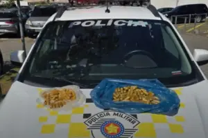mulas do trafico de drogas