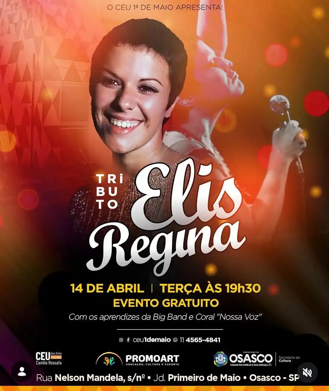 tributo elis regina