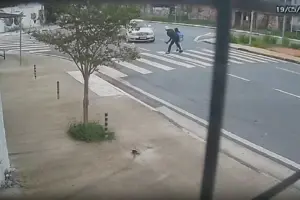 atropelamento carapicuíba