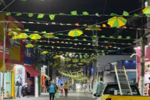 centro de cotia verde e amarelo cores brasil copa