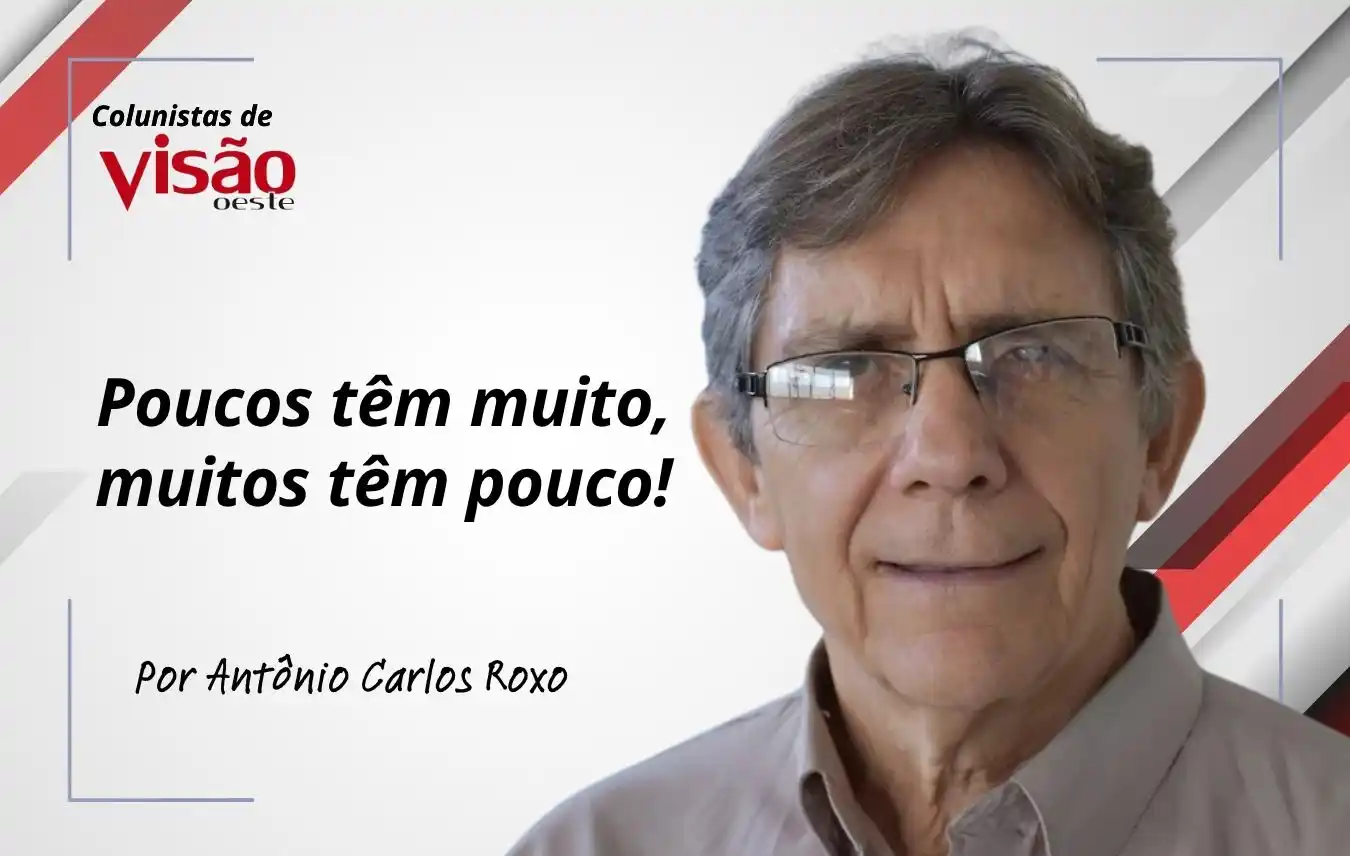 colunistas visão roxo (5)